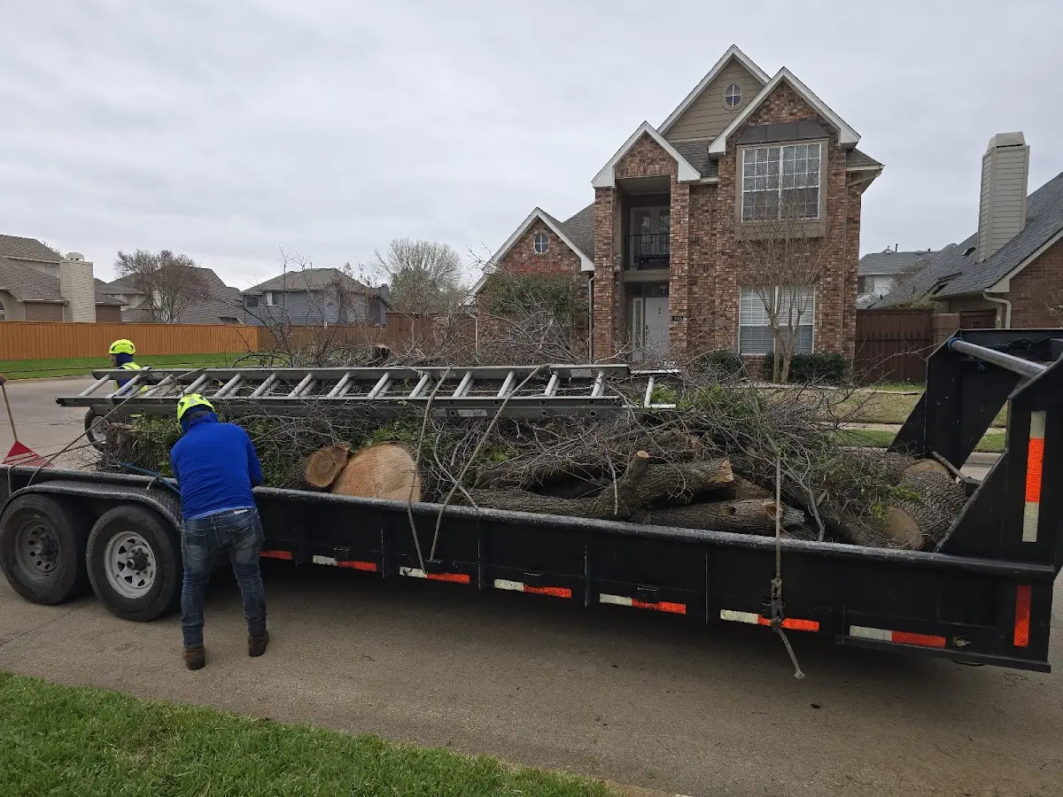 Expert Tree Removal with proper safety equipment in Waukon